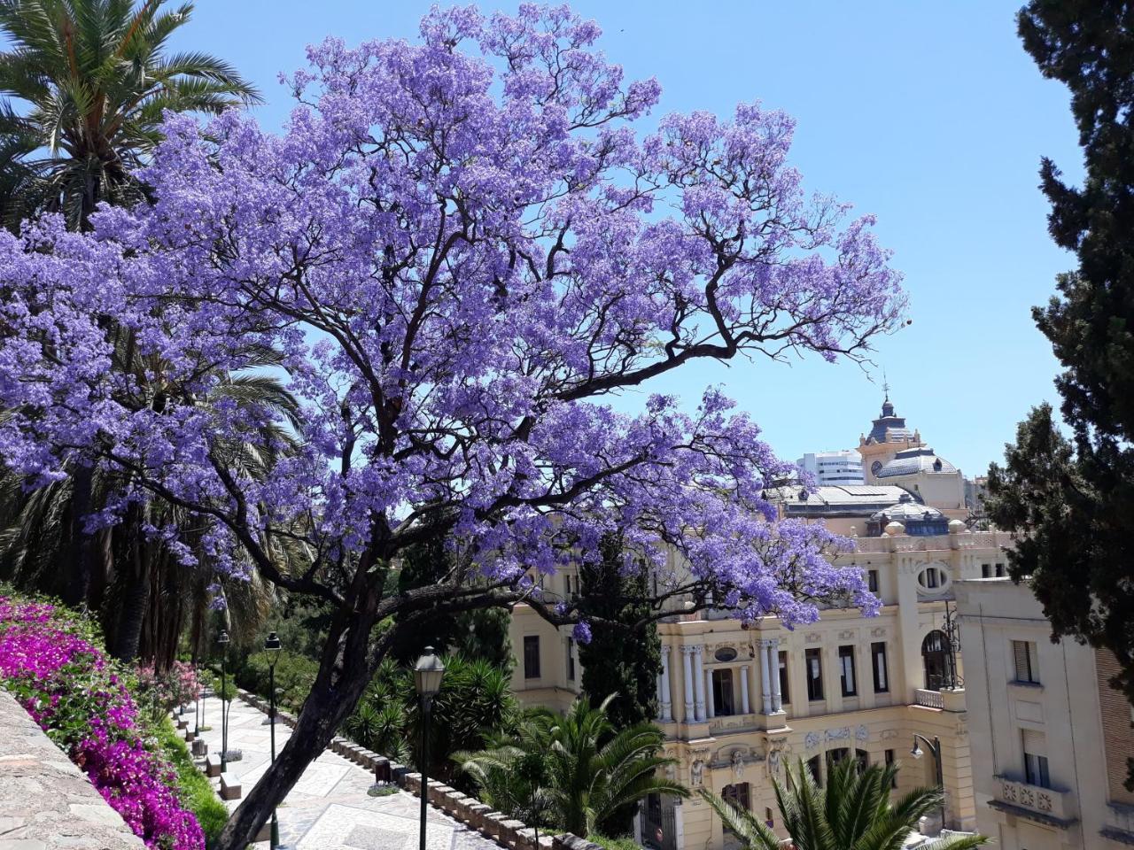Stay Home & Away In The Heart Of Historical Town Of Málaga Eksteriør billede